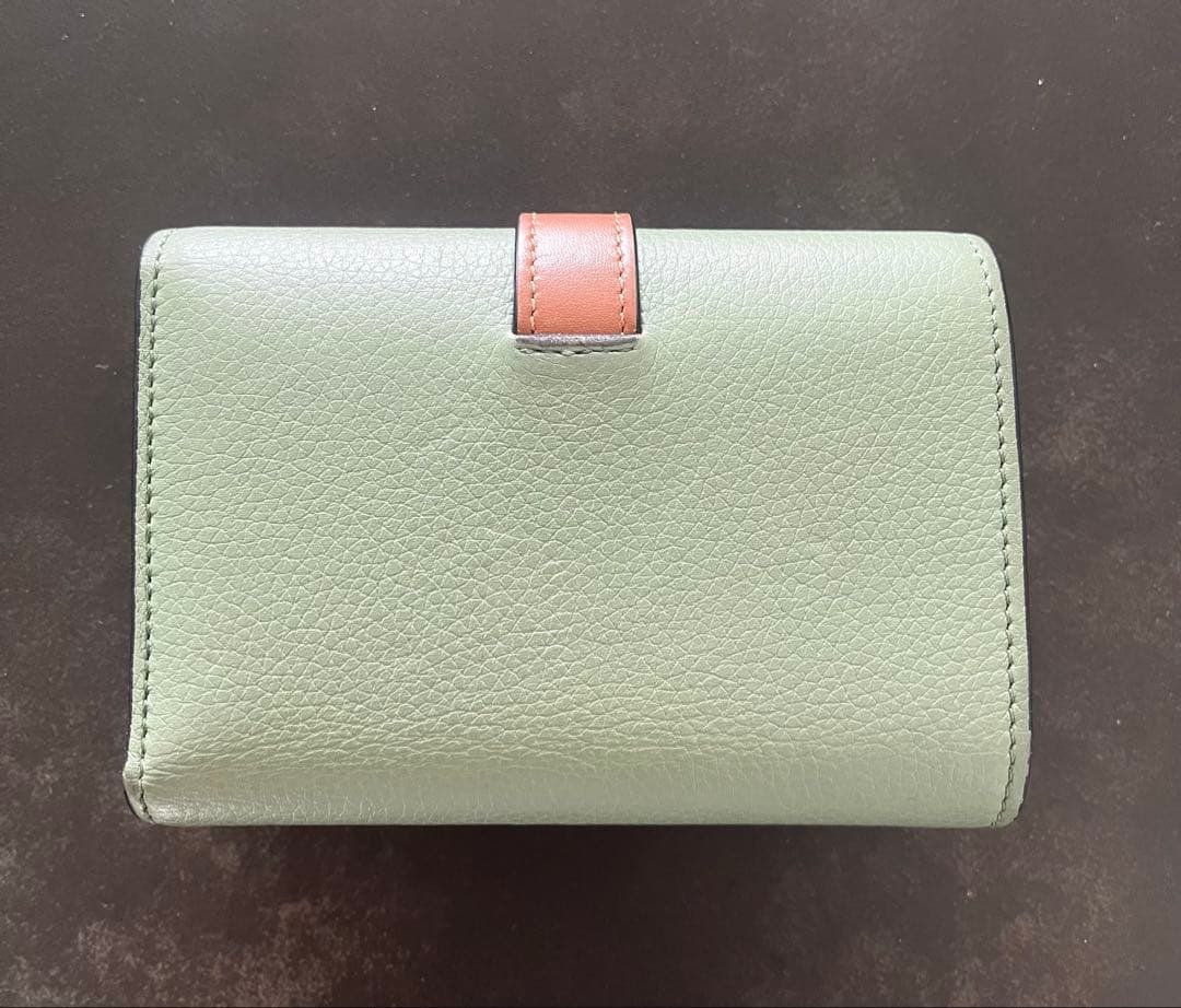 ロエベ　バーティカルウォレットスモール　ローズマリータン 美品