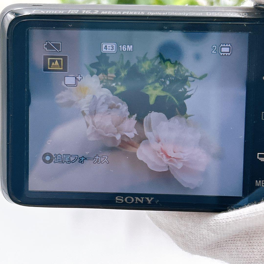 ☆極美品☆【ソニー】 Cyber-shot DSC-WX10 付属品 動作品 黒