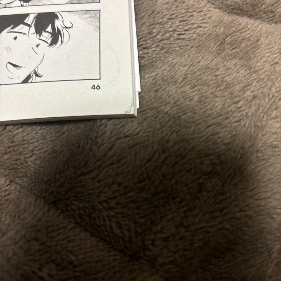 ひらやすみ 全巻 1-9巻 真造圭伍 ドラマ化 購入特典 全初版 希少