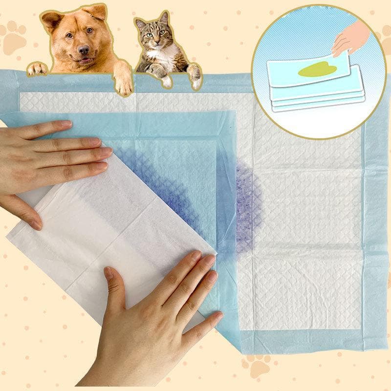 中井貴夫
