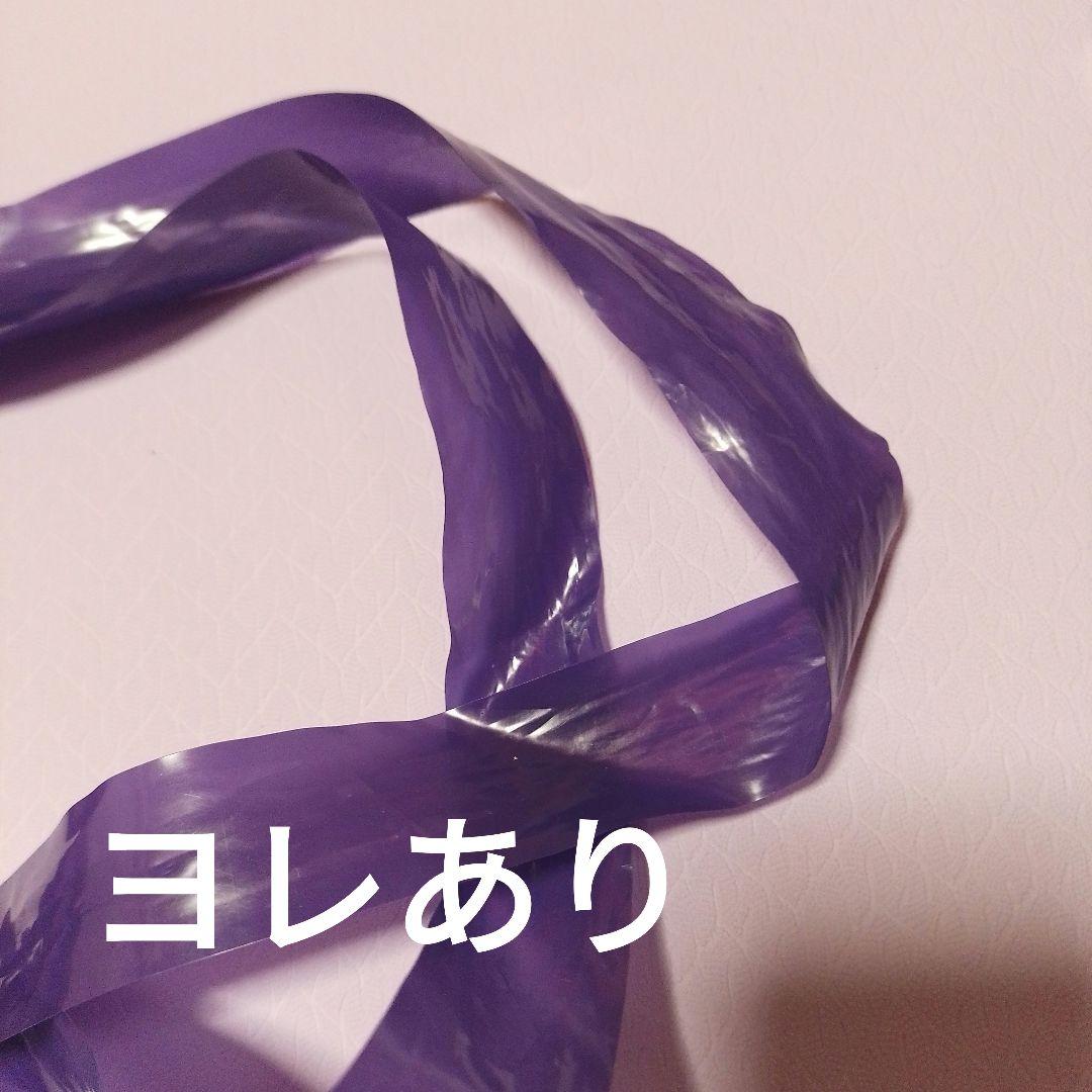 完全生産限定盤 サザンオールスターズ ライブツアー DVD おいしい葡萄の旅