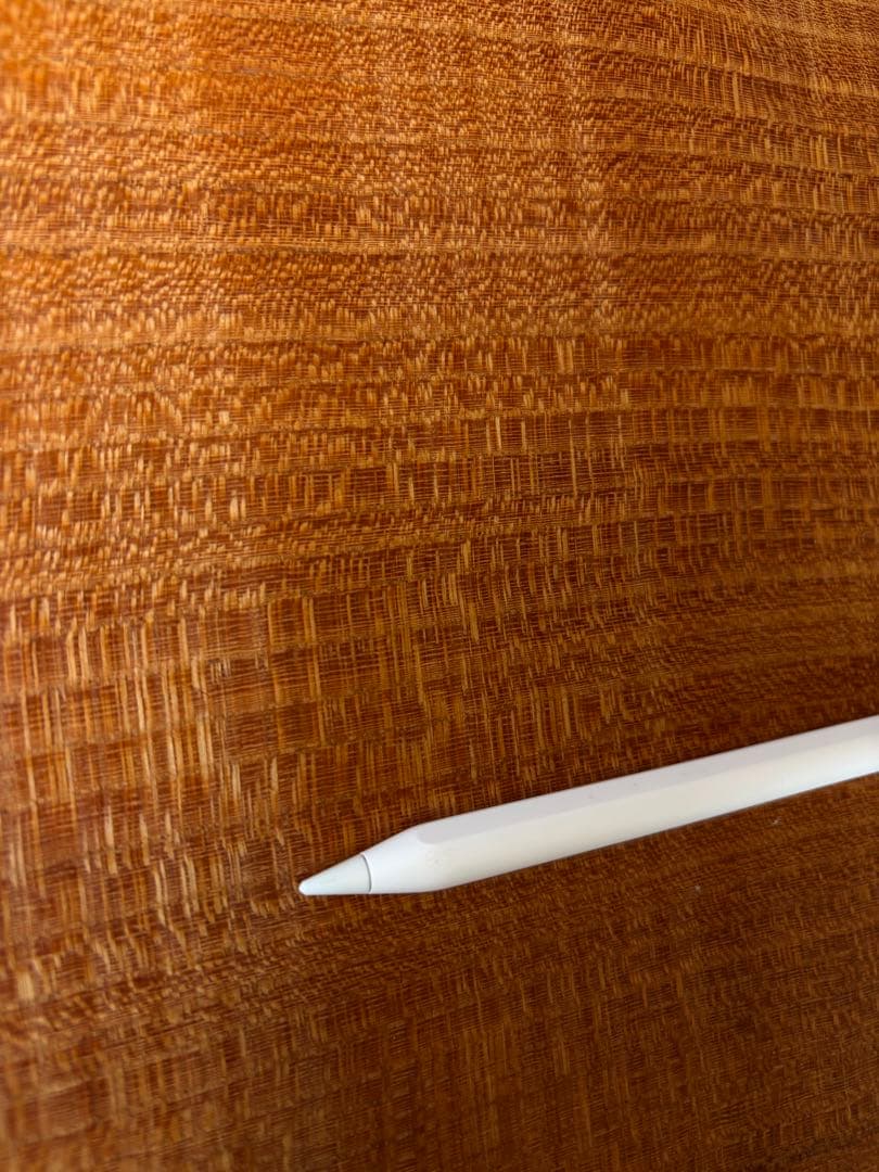 Apple Pencil USB-C (純正品)
