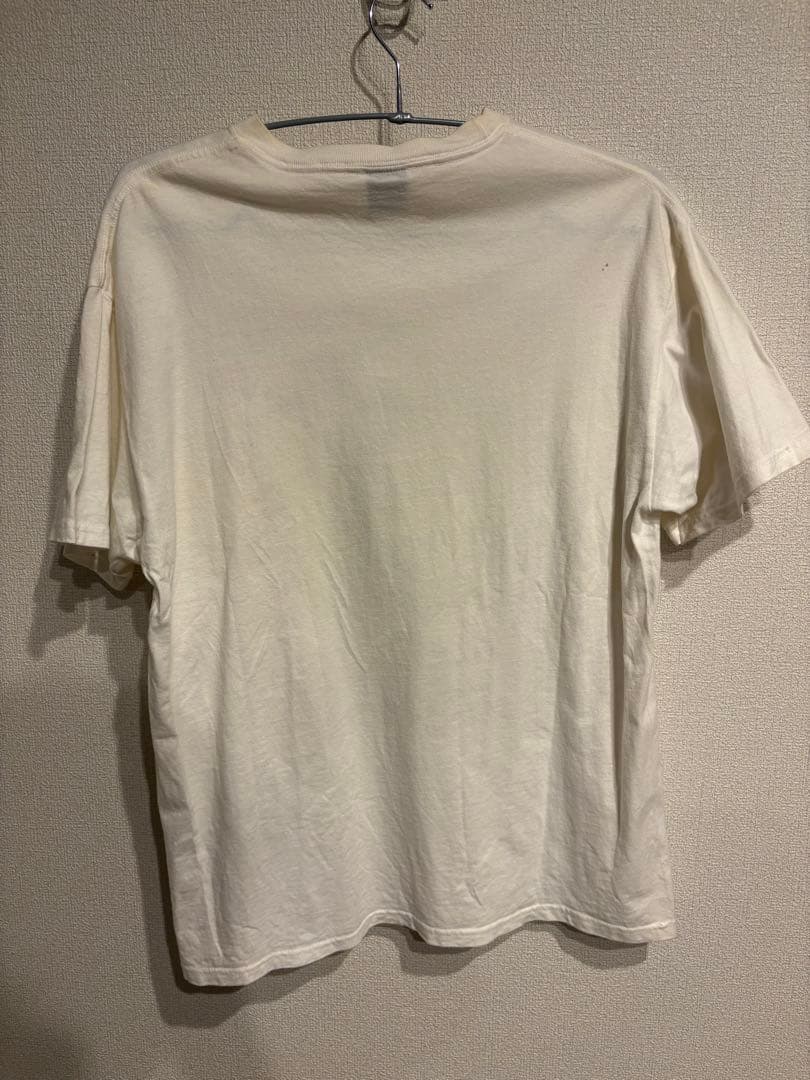Stussy ピータートッシュ　Tシャツ　Lサイズ
