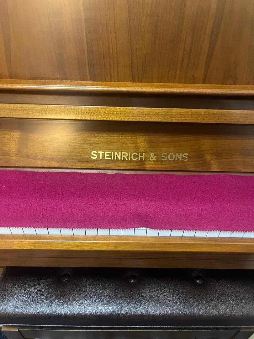 スタインリッヒ　STEINRICH&SONS 稀少