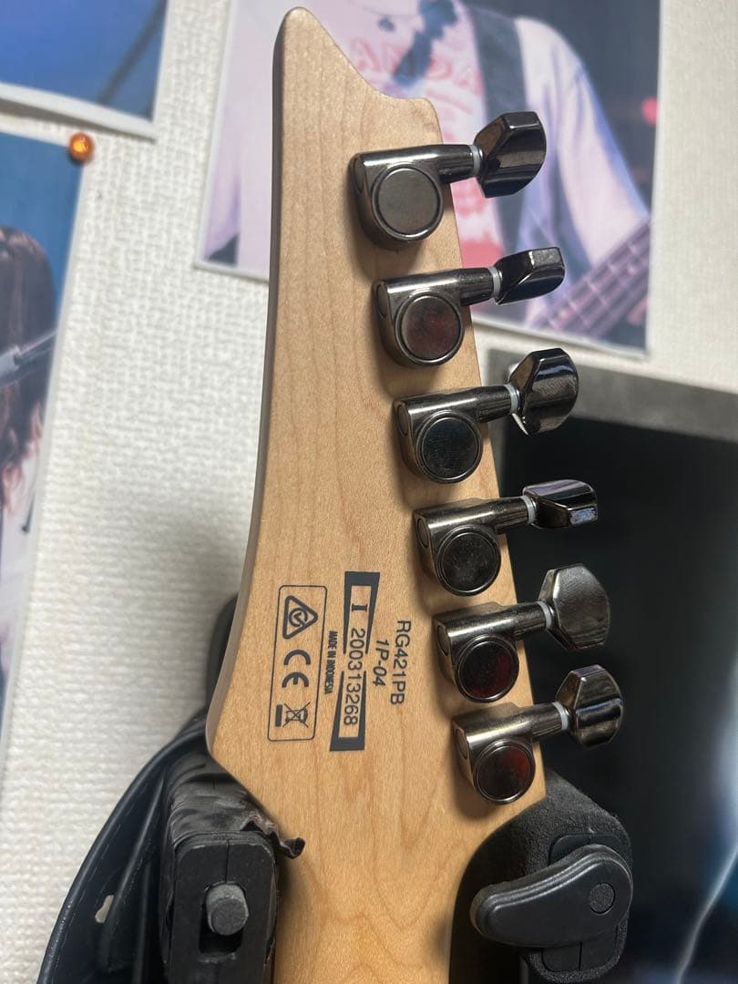m*a様 Ibanez RG421PB EMG89