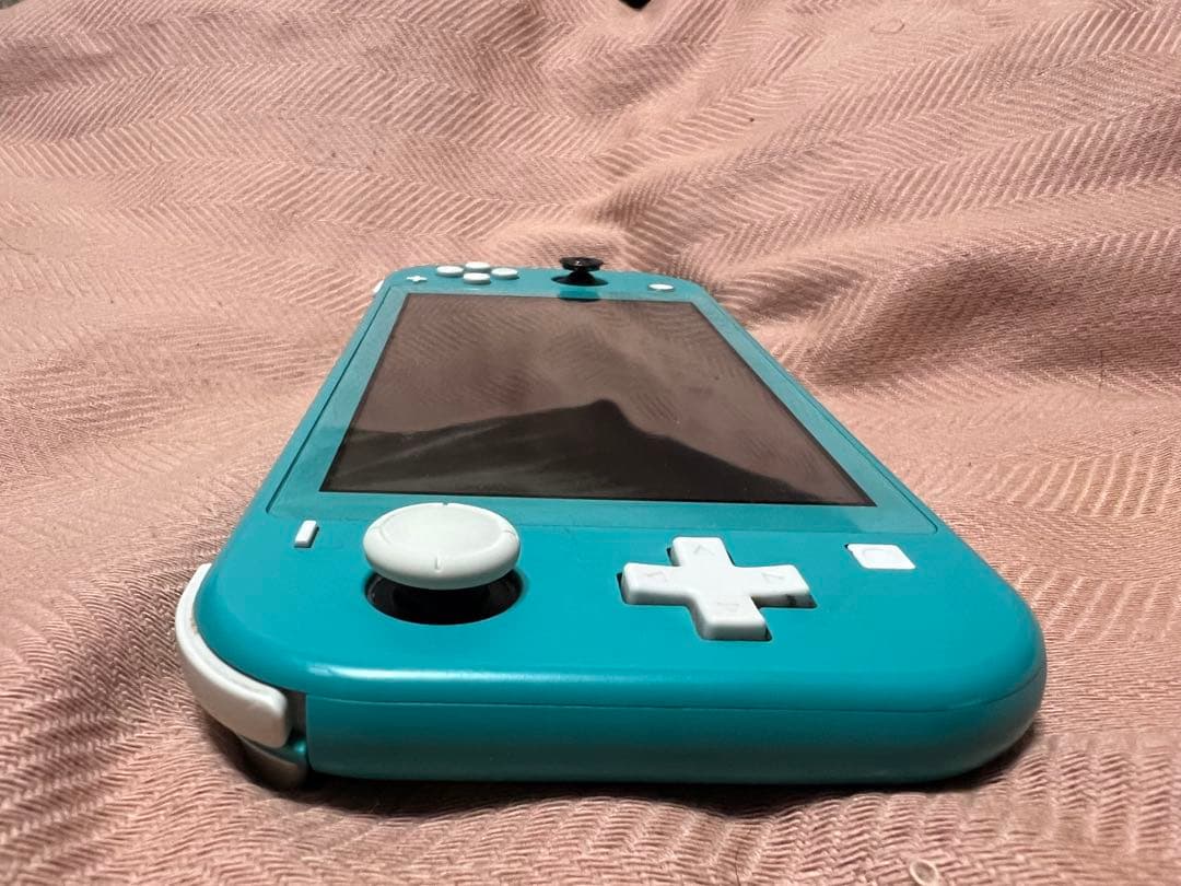 Nintendo Switch Lite ニンテンドースイッチライト　本体