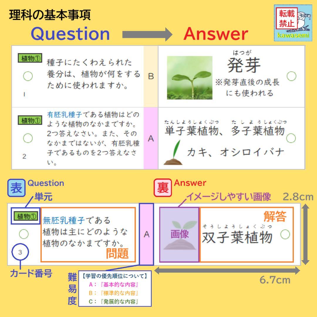 カット済☆最新版【中学受験】理科の基本事項 暗記カード フルセット 早稲アカa