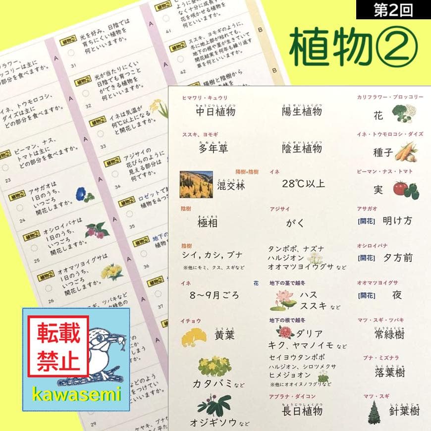 カット済☆最新版【中学受験】理科の基本事項 暗記カード フルセット 早稲アカa