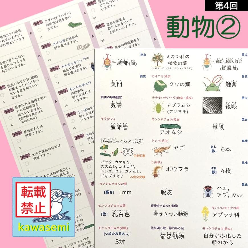 カット済☆最新版【中学受験】理科の基本事項 暗記カード フルセット 早稲アカa