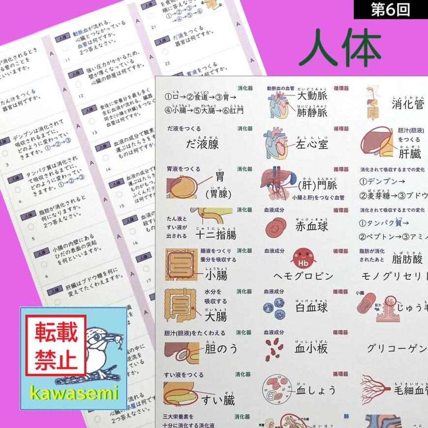 カット済☆最新版【中学受験】理科の基本事項 暗記カード フルセット 早稲アカa