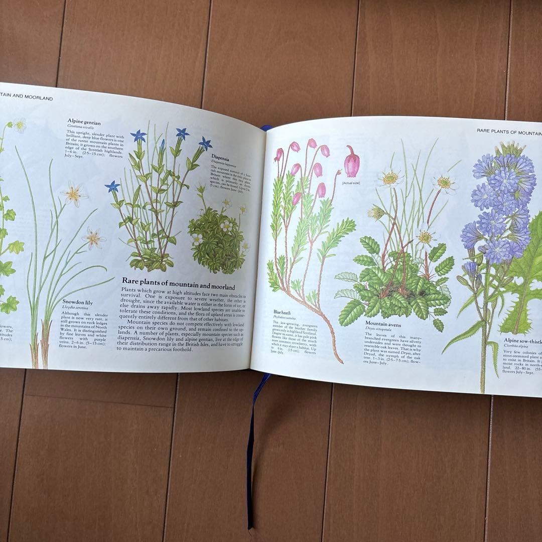 イギリス　植物図鑑　洋書