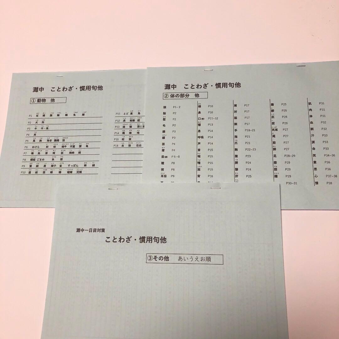 T　専用　灘中　中学受験　国語 1日目対策資料　4セット