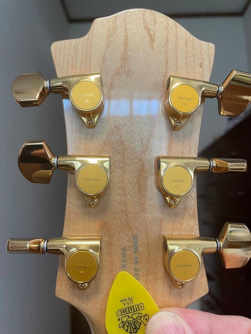 フェルナンデス　MG100x hide ギター モッキンバード値下げ　おまけ付
