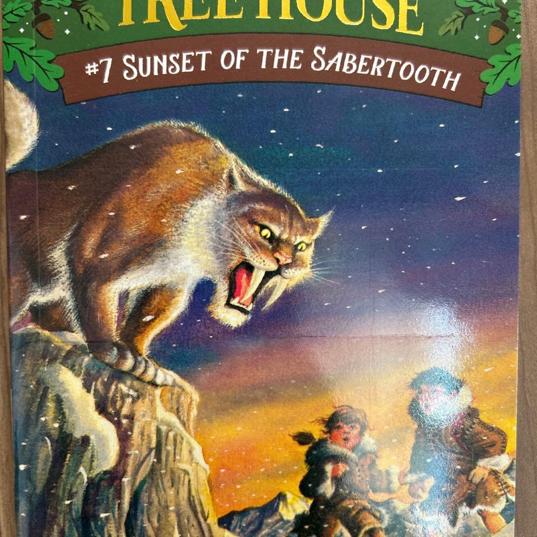 Magic Tree House 31巻セット