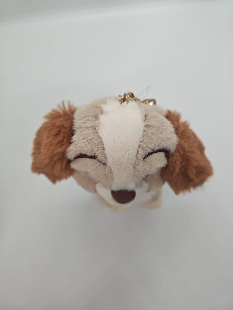 ディズニーストア　わんわん物語　レディ　エコバッグ　メゾンドフルール