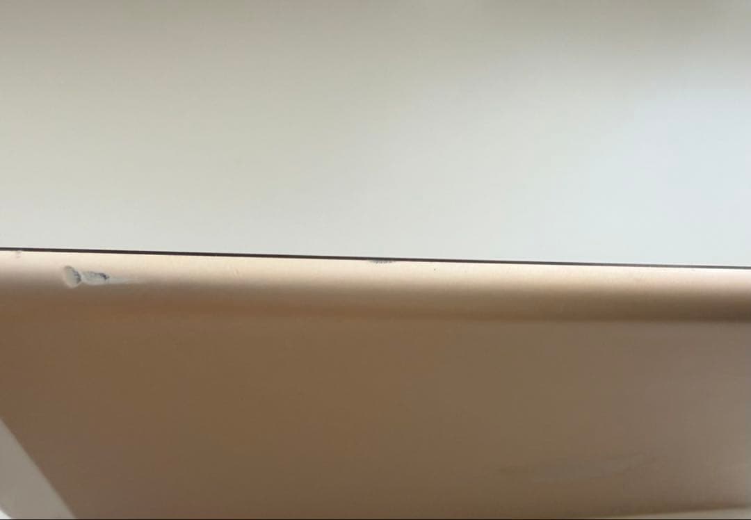 iPad本体 iPad Air2