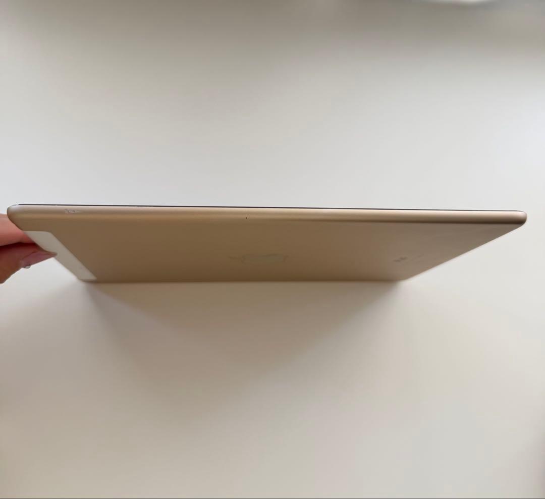 iPad本体 iPad Air2