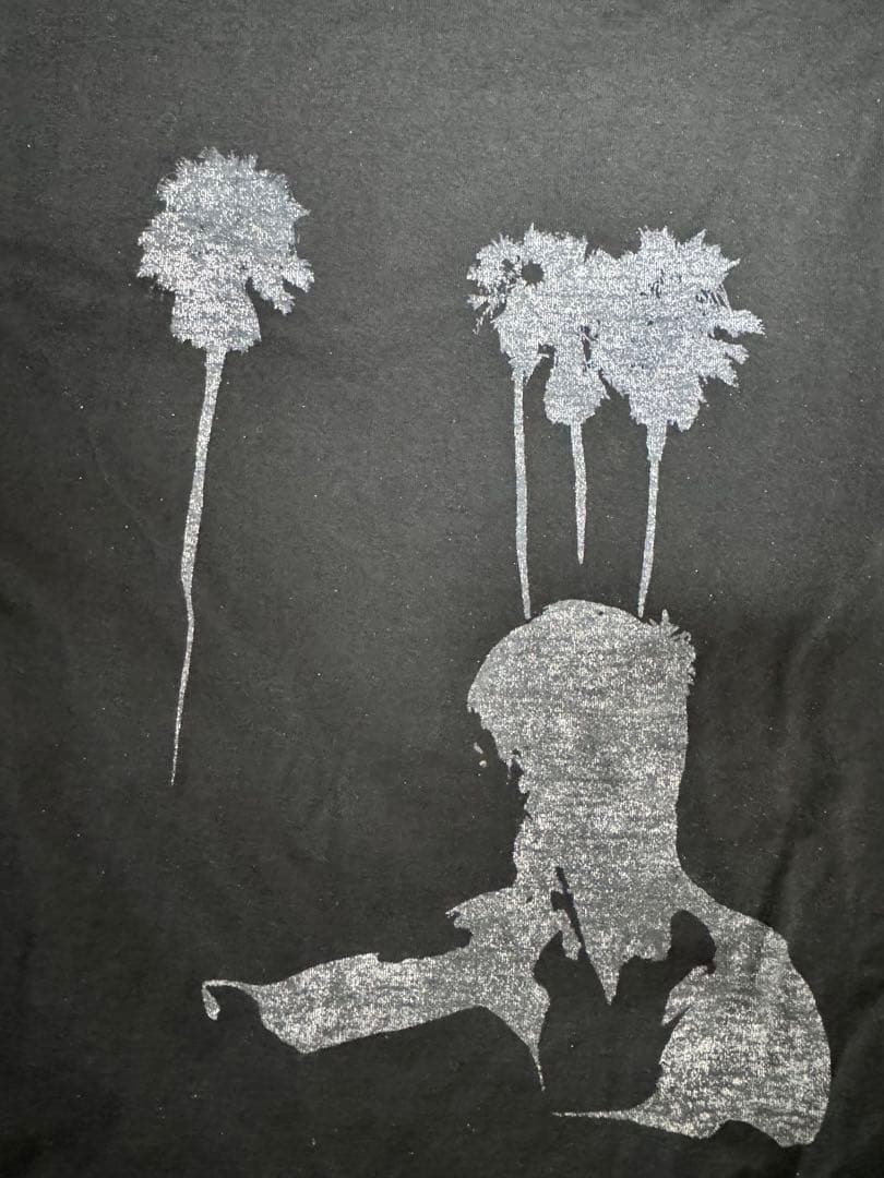 S*i様 Dior Homme ディオールオム プリントTシャツ エディ期 Mサ