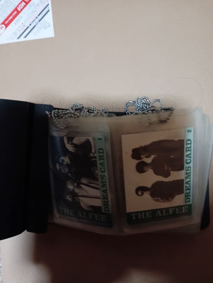 THE ALFEE DREAMS CARD セット (200枚)