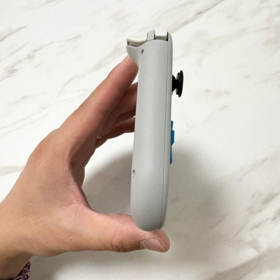 【動作確認済み】Nintendo Switch Lite ザシアンザマゼンタ