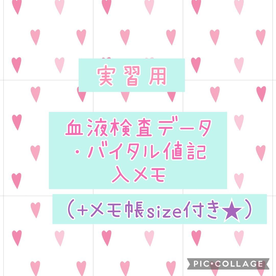 看護実習セット★　看護過程　アセスメント　看護目標　　手順書　看護学生　国家試験