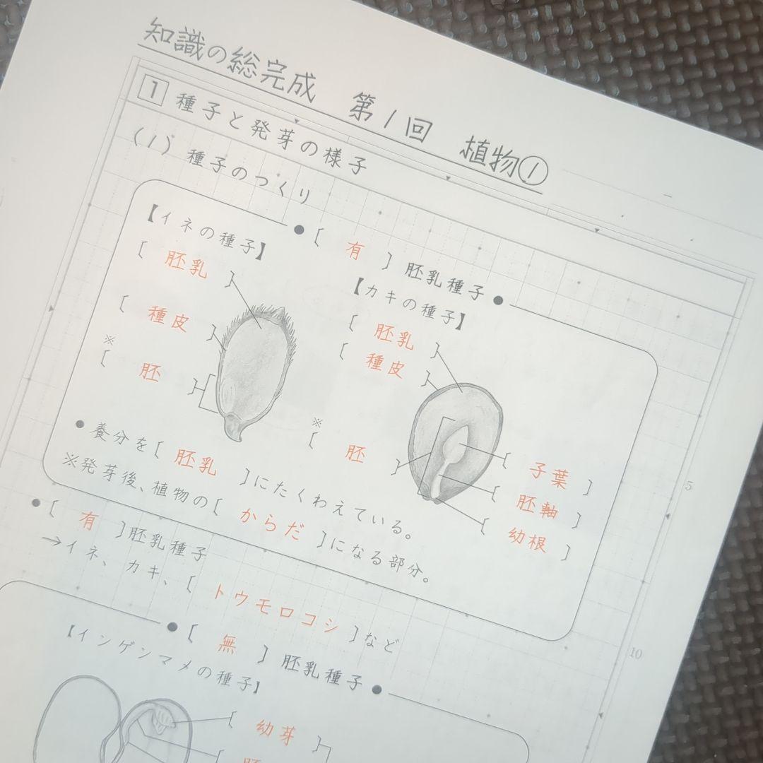 SAPIX 6年理科教材　2025 年度版