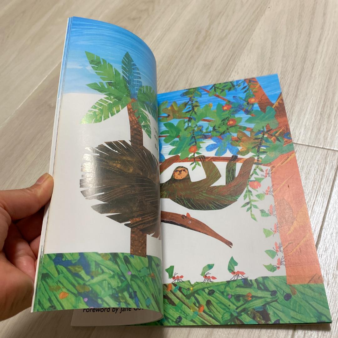 洋書 Er26 slowly slowly slowly said the sloth