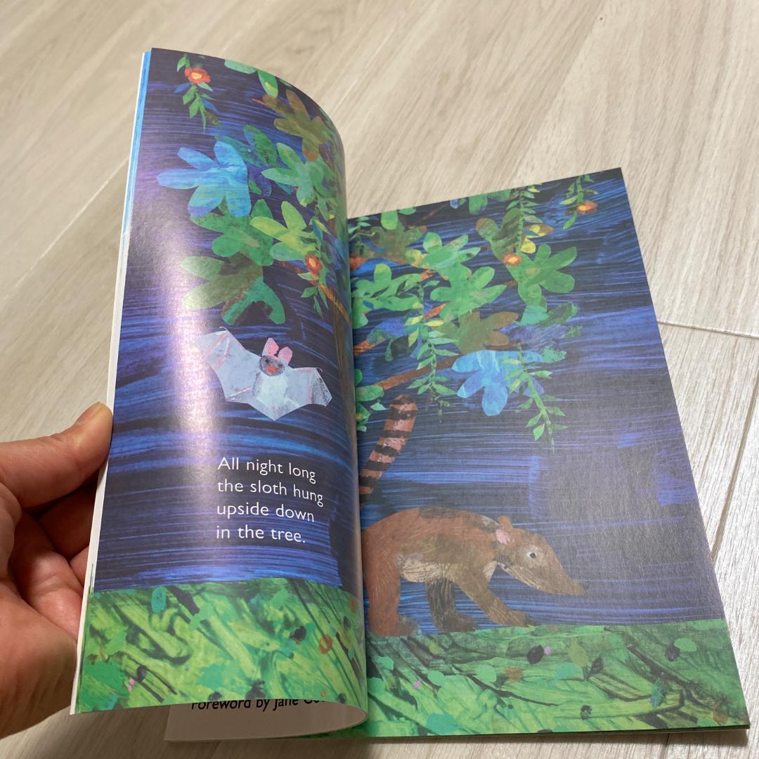 洋書 Er26 slowly slowly slowly said the sloth
