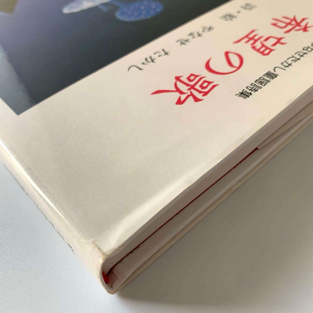 希望の歌 やなせたかし童謡詩集　フレーベル館