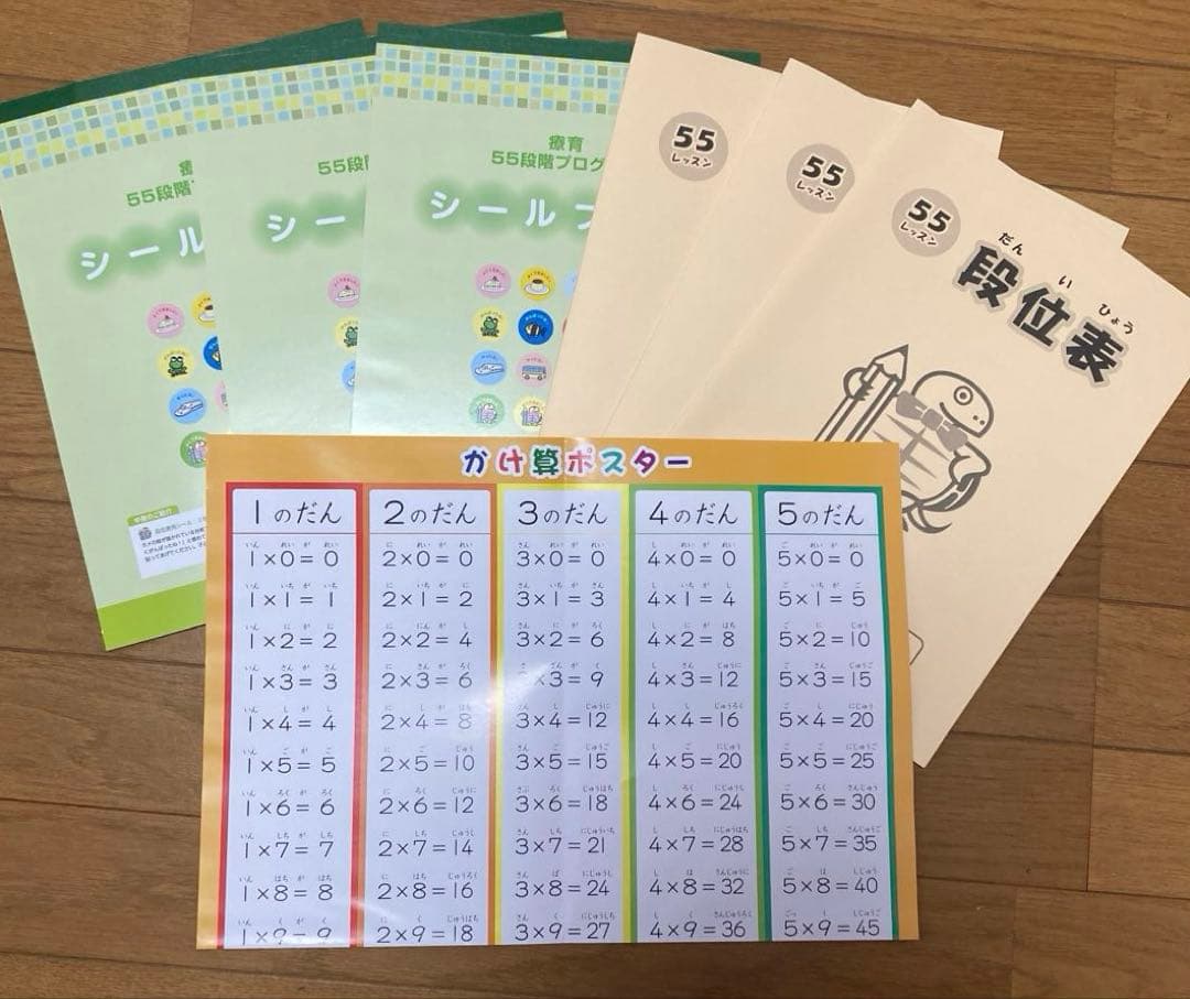 四谷学院療育55段階プログラムE段階（小2相当）
