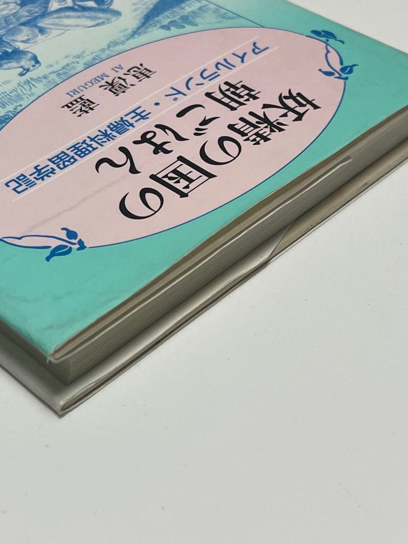 妖精の国の朝ごはん: アイルランド・主婦料理留学記