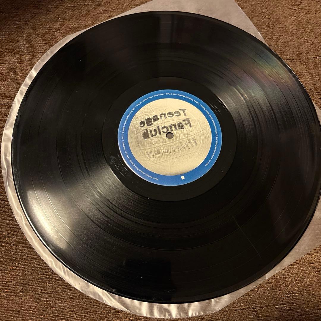 Teenage Fanclub Thirteen LP オリジナル盤