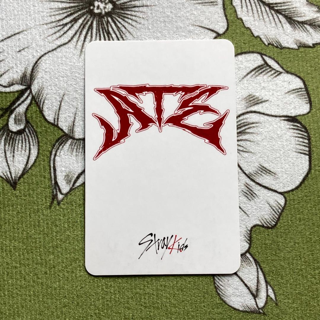StrayKids スミンイベント 限定 ATE チャンビン トレカ