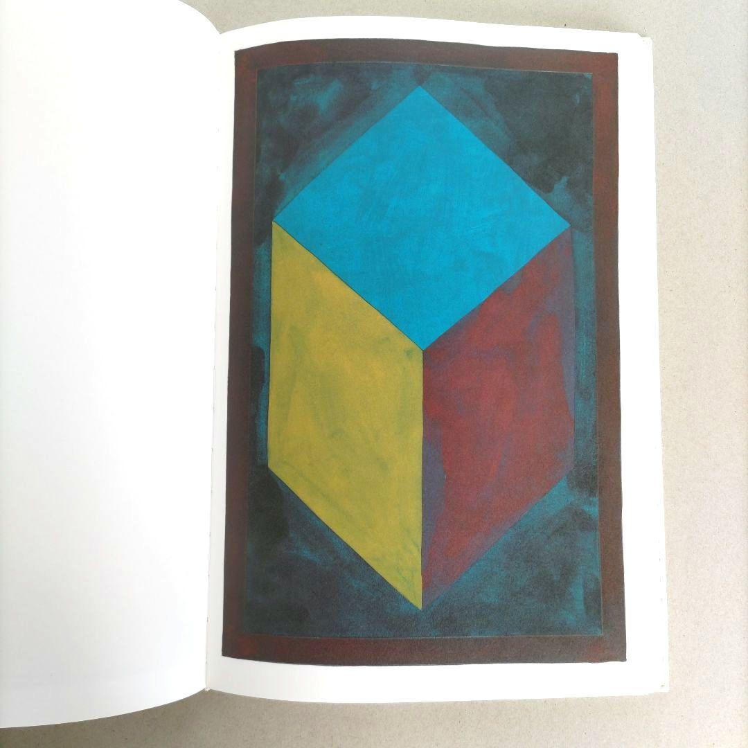 SOL LEWITT:100 CUBES/ソル・ルウィット 作品集 アート
