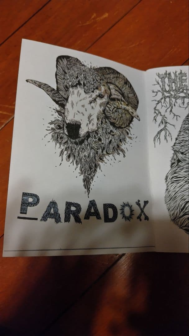 その他 hirotton paradox zine whatever vans huf