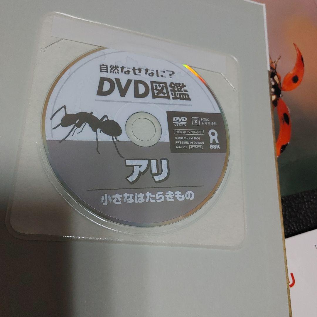 自然なぜなに DVD図鑑 ほば未使用 6冊セット 栗林 慧