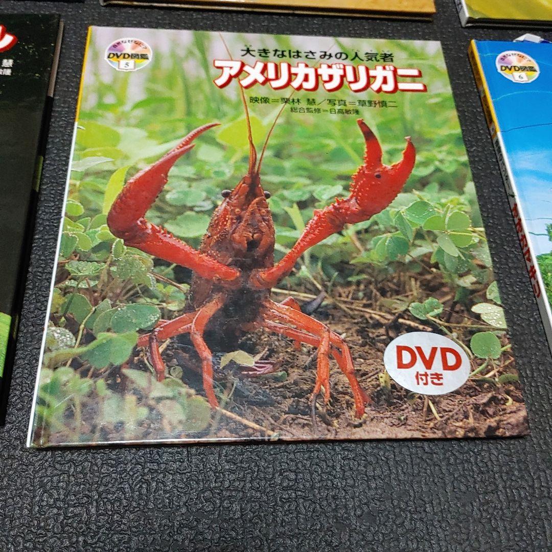 自然なぜなに DVD図鑑 ほば未使用 6冊セット 栗林 慧