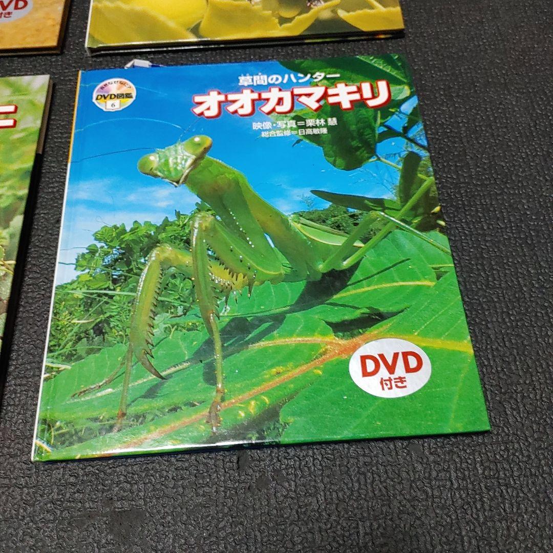 自然なぜなに DVD図鑑 ほば未使用 6冊セット 栗林 慧