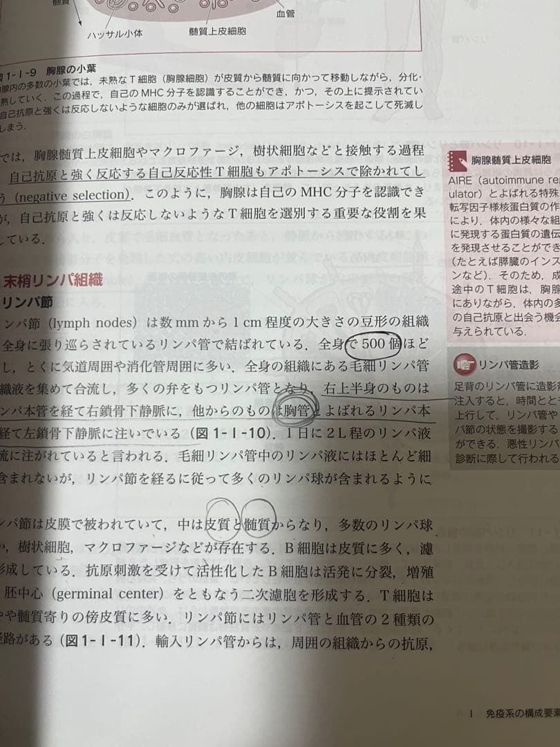臨床検査技師 教科書 参考書 バラ売り〇