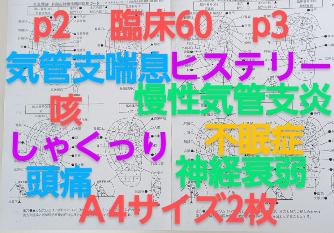BP32:耳つぼ：臨床例60例集+チャート2+解説プリント（ジュエリー必須）プロ