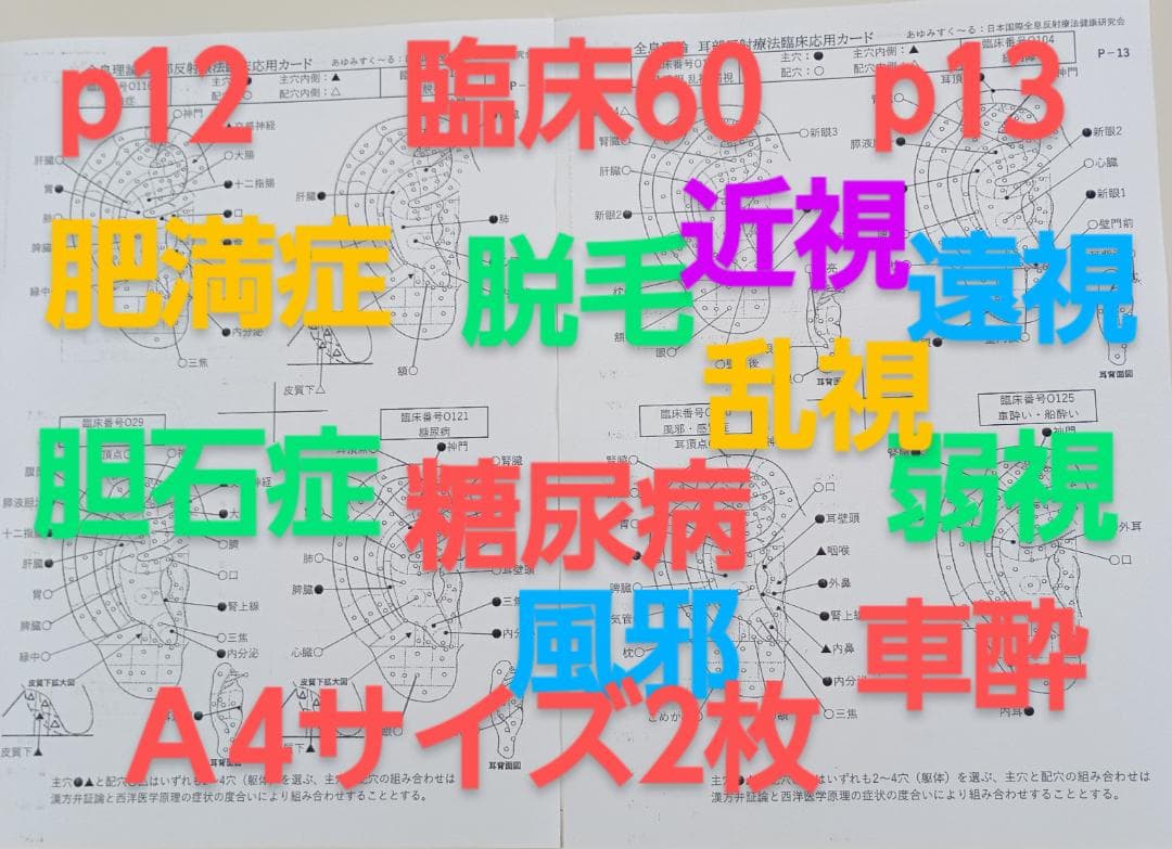BP32:耳つぼ：臨床例60例集+チャート2+解説プリント（ジュエリー必須）プロ