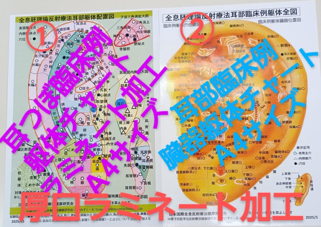 BP32:耳つぼ：臨床例60例集+チャート2+解説プリント（ジュエリー必須）プロ