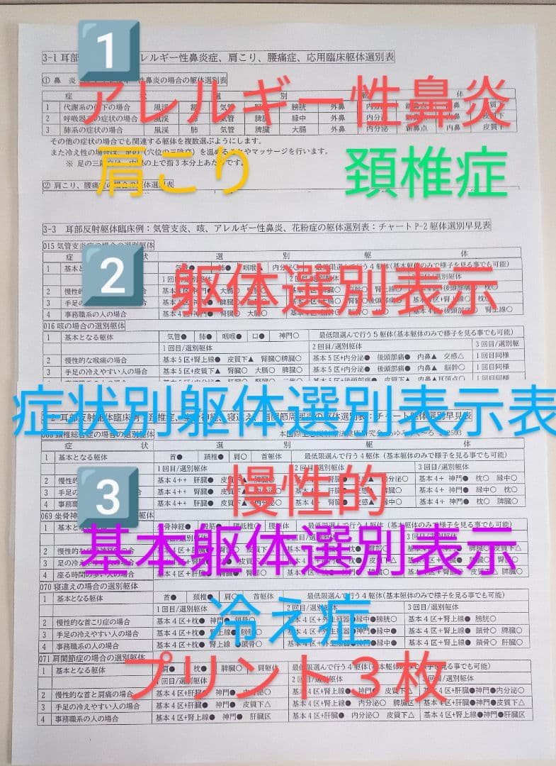 BP32:耳つぼ：臨床例60例集+チャート2+解説プリント（ジュエリー必須）プロ