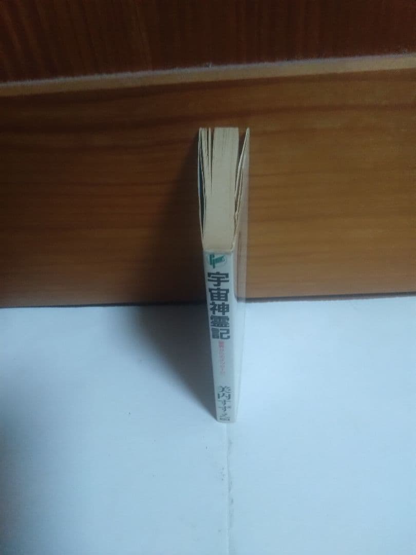 【書籍】宇宙神霊記 霊界からのメッセージ 美内すずえ著