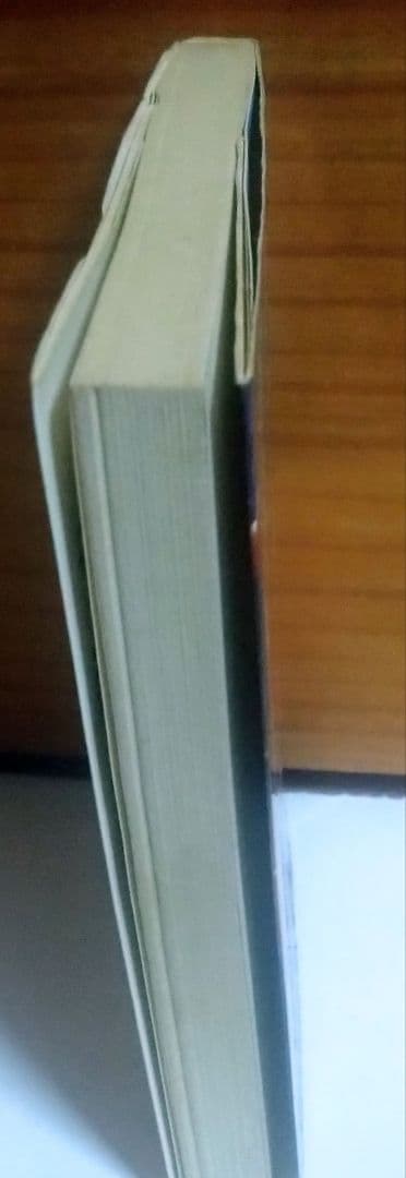 【書籍】宇宙神霊記 霊界からのメッセージ 美内すずえ著