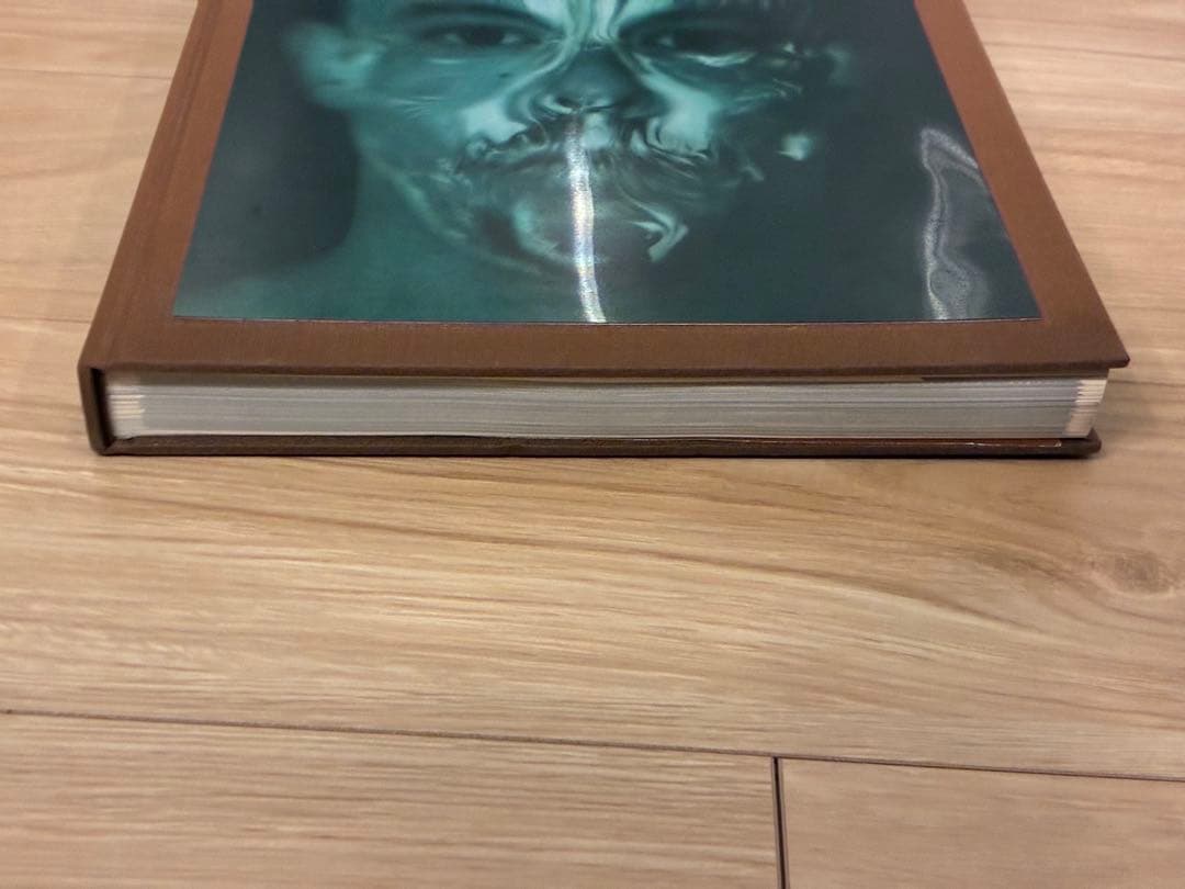 ALEXANDER McQUEEN SAVAGE BEAUTY 洋書