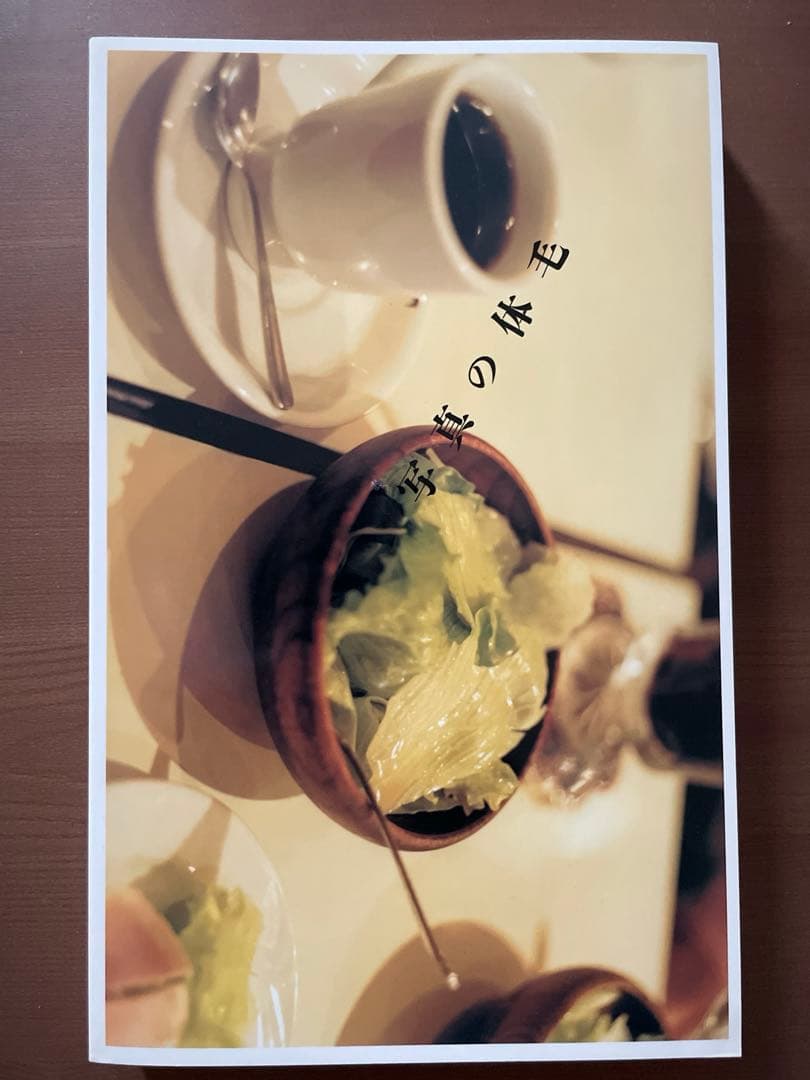 佐内正史　写真の体毛