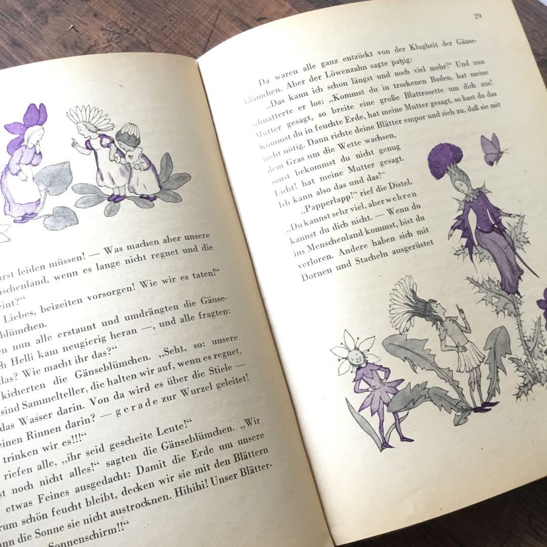 洋書　ドイツ絵本　Ida Bohatta