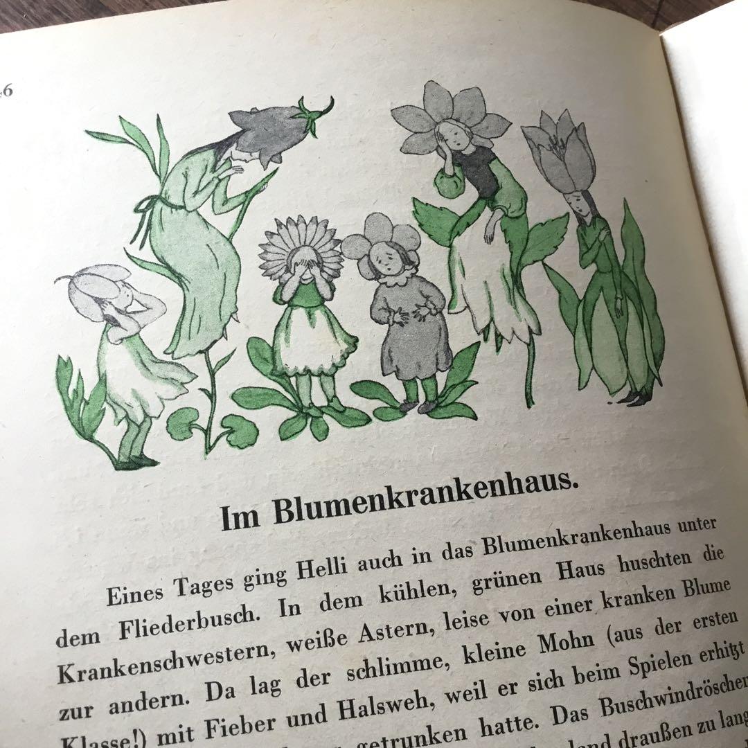 洋書　ドイツ絵本　Ida Bohatta