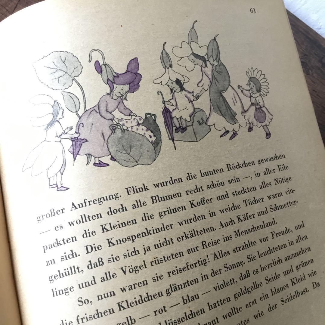 洋書　ドイツ絵本　Ida Bohatta